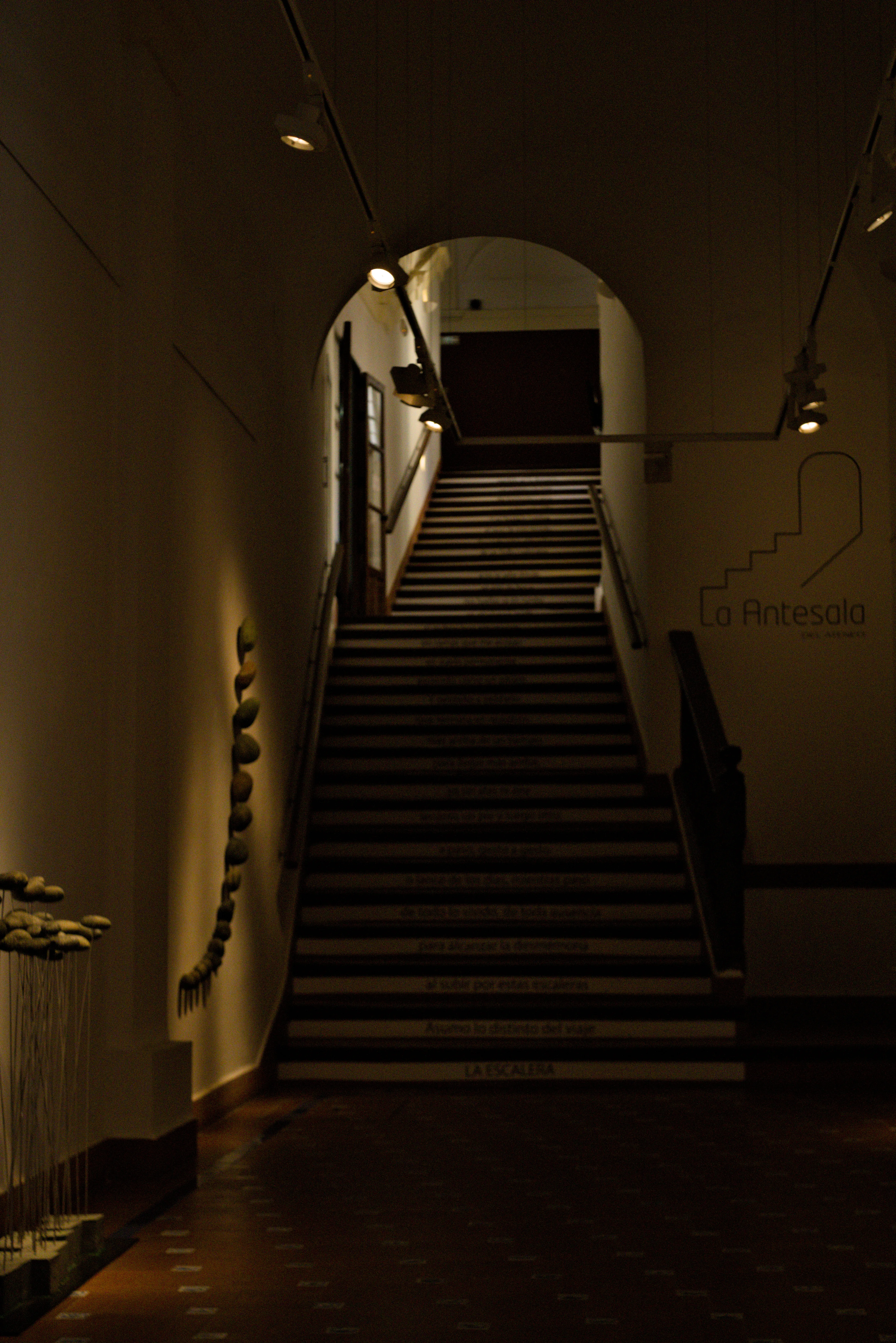 Meyer-Optik Görlitz Primagon 35mm f4.5 (M42) - _I4A3149.webp